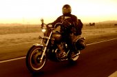 1981 Yamaha XS 1100 S photo